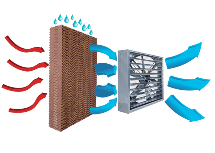Con i raffrescatori ETEM avrete un continuo ricambio d’aria nell’ambiente ed eviterete che i virus vi si diffondano